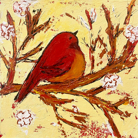 Chubby Red Bird in Spring